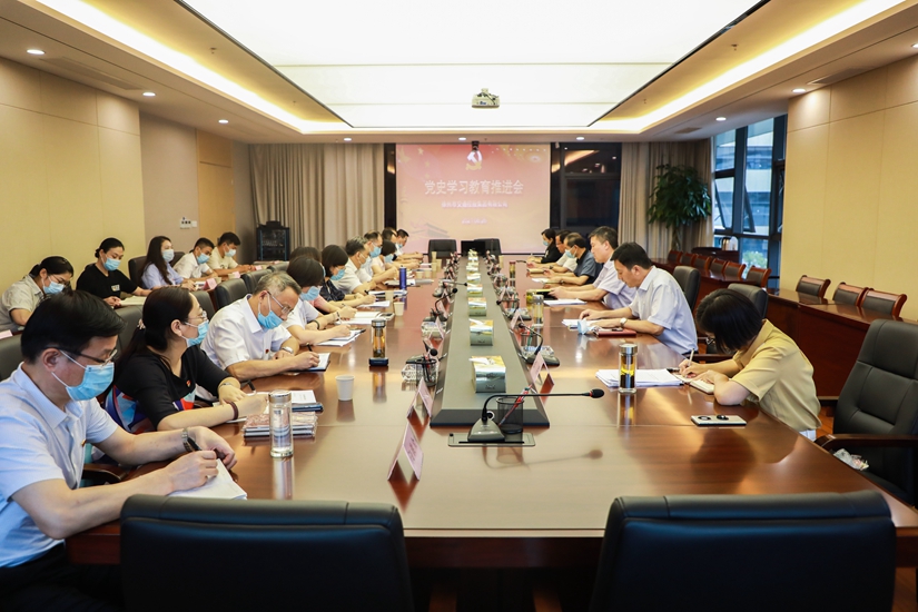 集团党委召开党史学习教育推进会